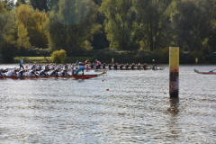 20251018_dove_elbe_ldr_04