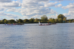 20251018_dove_elbe_ldr_05